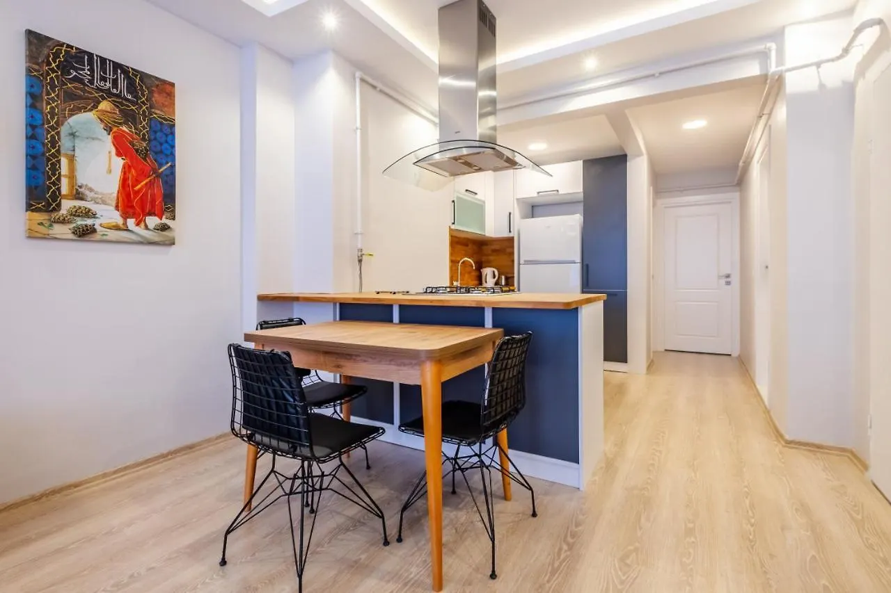 Splendid Flat In The Heart Of Cihangir Istanbul Apartment